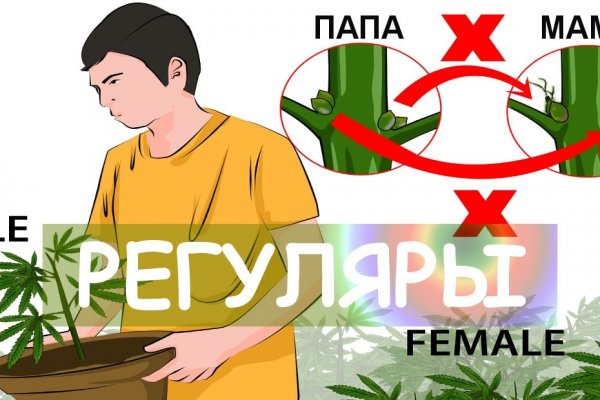 Клирнет ссылка на зеркало маркетплейс кракен